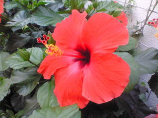 �Љ�ی��J���m